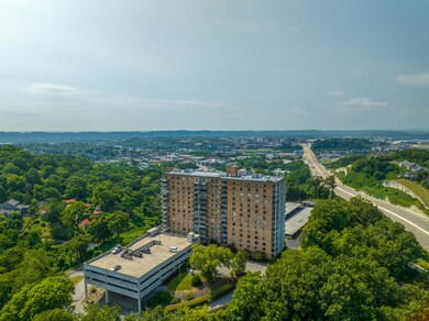 The Pinnacle, Chattanooga, TN 37405 - photo 4