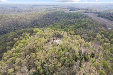 30901 Chestnut Ridge Rd, Danville, OH 43014 - photo 5