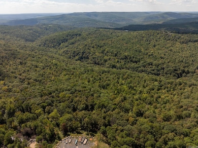 000 Hwy 65, Clinton, AR 72031 - photo 7