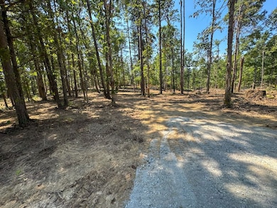 0 Richard Dorning Rd unit LotWP002 24538018, Kimmins, TN 38462 - photo 6