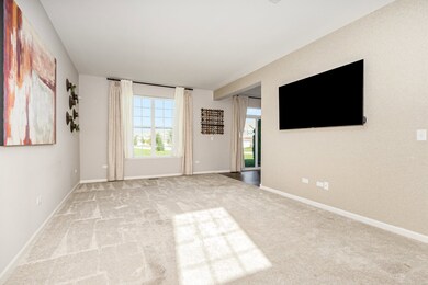 24724 Mccormick Way, Manhattan, IL 60442 - photo 5