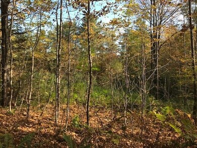 00 Crane Hill Rd, Sugar Hill, NH 03586 - photo 5