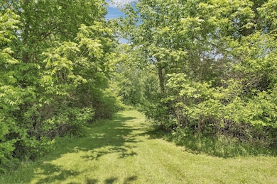 ABOUT 10 ACRES OF WOODS