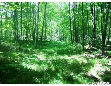 0 Moser Dr unit 872758, Webster, WI 54893 - photo 3