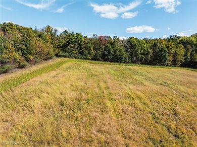 0 Moffett Rd, Lucas, OH 44843 - photo 3