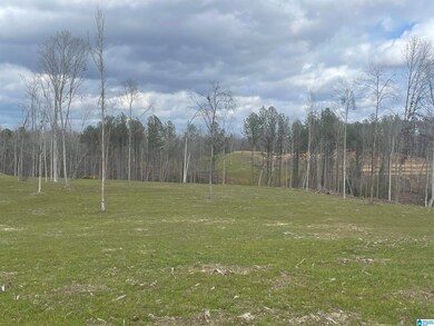 0004 Truman Aldrich Pkwy, West Blocton, AL 35184 - photo 7