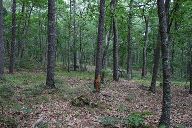 31 Rumsey Rd, York, ME 03909 - photo 7