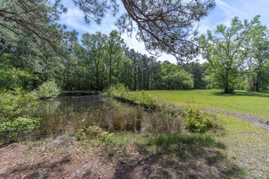 Pond in right pasture