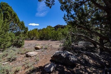 0 Juniper Way unit lot 312, New Harmony, UT 84757 - photo 7