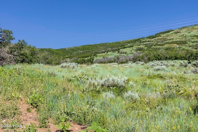 003_03-926supland-03_219