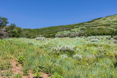 926 S Upland Loop unit 20, Midway, UT 84049 - photo 3