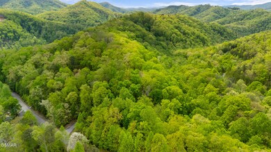 Lot 66e Redtail Rd, Sevierville, TN 37862 - photo 4