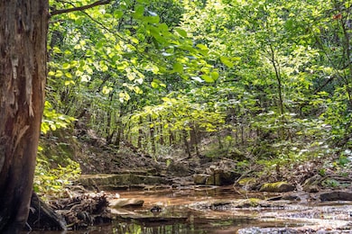 537 Watson Rd, Branson, MO 65616 - photo 4