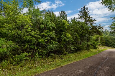Lot 13 N Wilderness Trail, Kimberling City, MO 65686 - photo 2