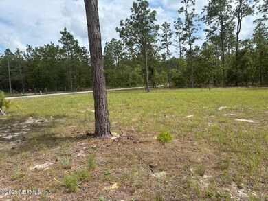 11110 SE 135th Ct, Dunnellon, FL 34431 - photo 7