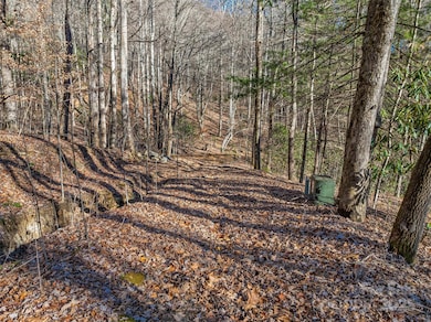 TBD Ladys Fern Trail unit 9, Laurel Park, NC 28739 - photo 7