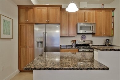 61 Bolton St unit 201, Cambridge, MA 02140 - photo 7