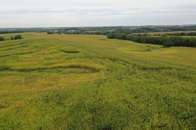 28664 E 110th St, Blythedale, MO 64426 - photo 6