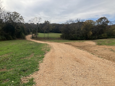 7 Booker Ridge Rd, Mount Pleasant, TN 38474 - photo 2