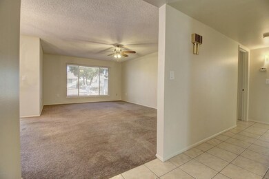 IMG_1056_57_58_59_60