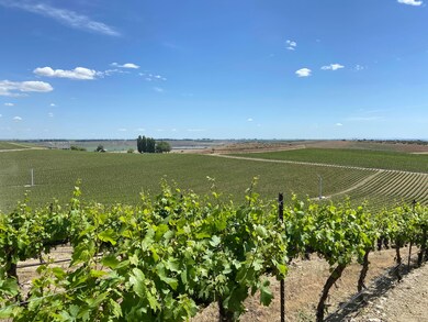 Ash Rd, Mesa, WA 99343 - photo 5