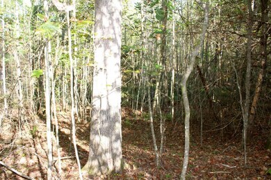 20171006235113090416000000-o