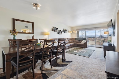 Cheesman Tower West lofts unit 902, Denver, CO 80218 - photo 4