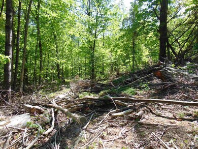 2 Crepeault Hill Rd unit 2, Saint Johnsbury, VT 05819 - photo 5