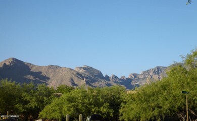 Views from the front