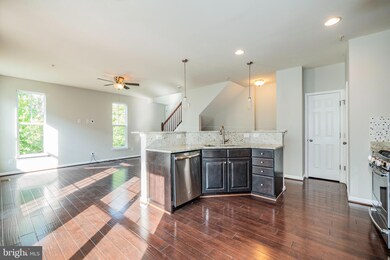 25233 Laureldale Terrace, Chantilly, VA 20152 - photo 5