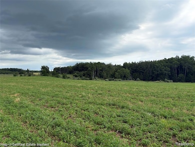 300 E Hubert Rd, Spruce, MI 48762 - photo 7