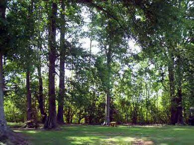 415 Wilson Dr, McComb, MS 39648 - photo 3