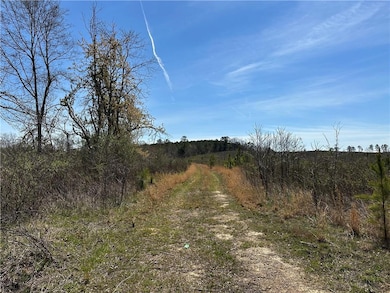 1849 Prior Station Rd, Cedartown, GA 30125 - photo 4