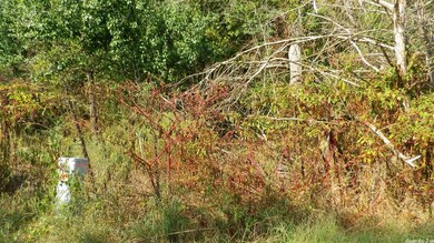 0 Fuller Rd unit 21031781, Conway, AR 72032 - photo 2