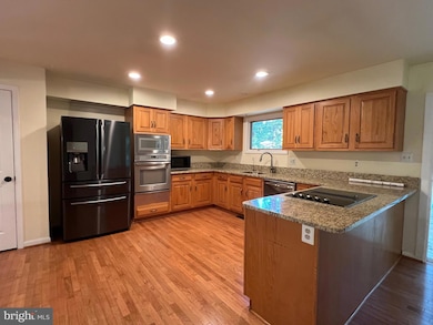 247 Springvale Rd, Great Falls, VA 22066 - photo 4