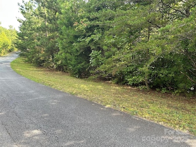 0 Hope Dr unit 20 CAR4299424, Rutherfordton, NC 28139 - photo 3