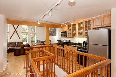 900 E Durant Ave unit B105, Aspen, CO 81611 - photo 6