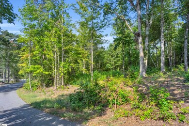 101 & 103 George Williams Dr, Easley, SC 29640 - photo 3