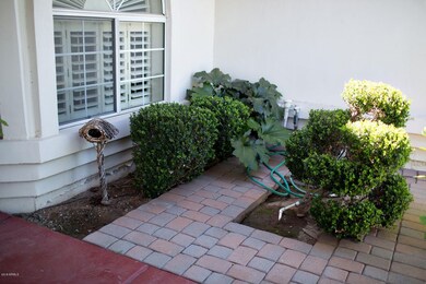 Front Yard Garden 2