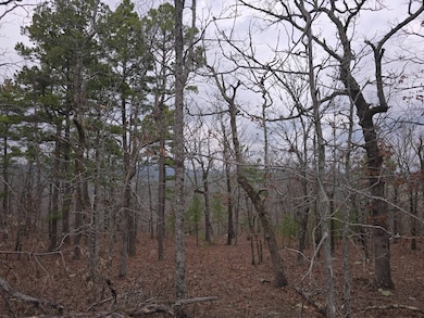 0000 SE 180th Rd, Talihina, OK 74571 - photo 5