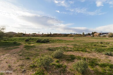 20230206-IMG_6583