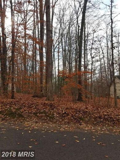 106 Winchester Ln, Locust Grove, VA 22508 - photo 5