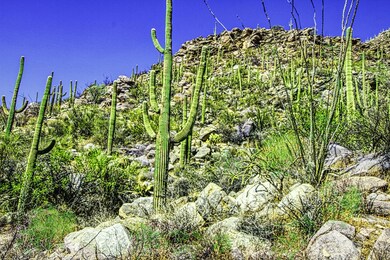 2020-10-04 10.30.38_edit