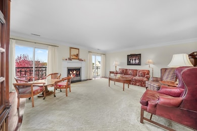 7575 Lake St unit 5C, River Forest, IL 60305 - photo 4