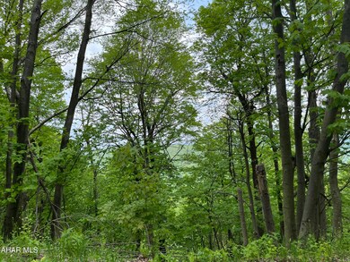 00 Ridge Run Rd unit Lot 167, Claysburg, PA 16625 - photo 7