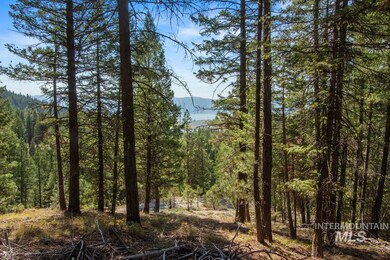 66 Truckee Trail, Cascade, ID 83611 - photo 3