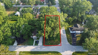 00 Liddle St, Brownstown Charter Township, MI 48183 - photo 3