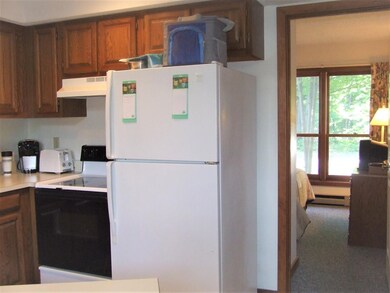 31-3 Summer Dr unit 3, Lincoln, NH 03251 - photo 6
