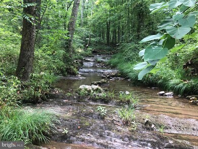 0 Corner Rt 259 & Hunkerson Gap Rd unit WVHD2000974, Mathias, WV 26812 - photo 5