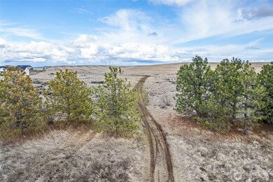 0 Washington 28, Davenport, WA 99122 - photo 6